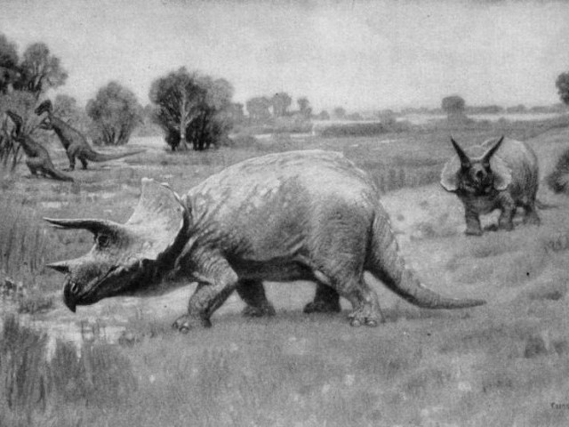 Трицератопс