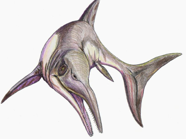 Ихтиозавры